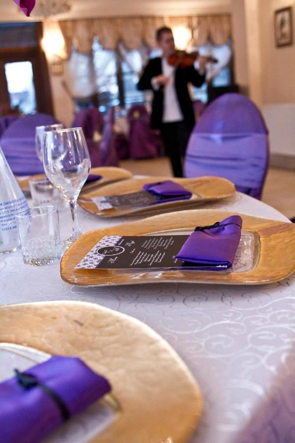 Отель Hotel Royal Plaza Тимишоара-35