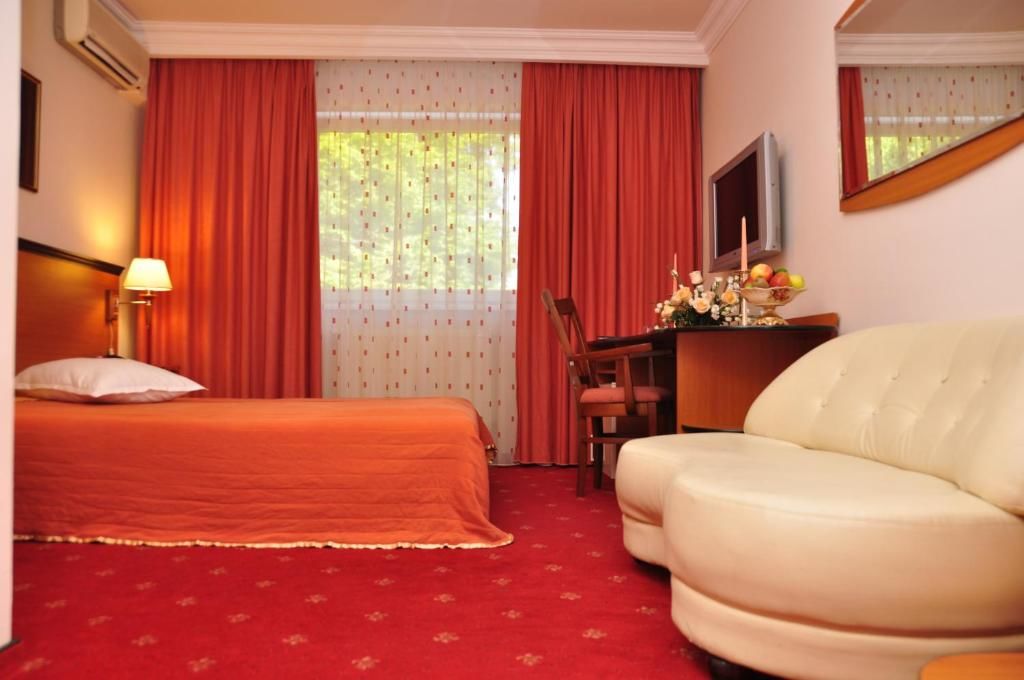 Отель Hotel Royal Plaza Тимишоара-42