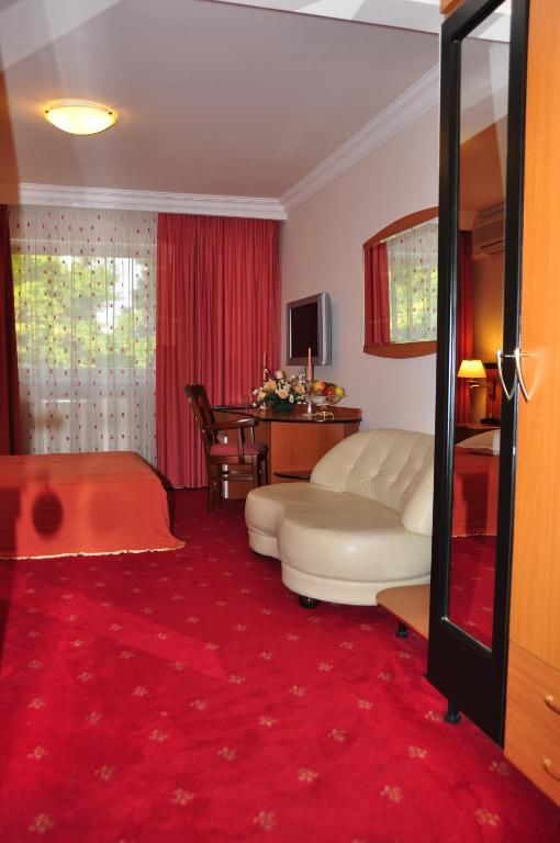 Отель Hotel Royal Plaza Тимишоара-43