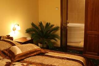 Отель Hotel Royal Plaza Тимишоара Люкс с 1 спальней-1