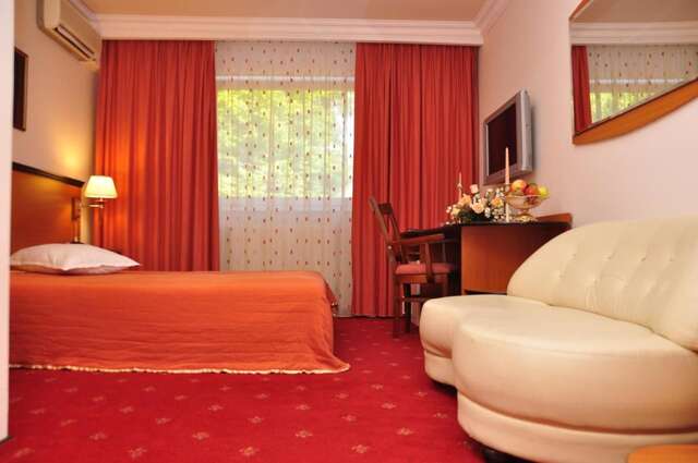 Отель Hotel Royal Plaza Тимишоара-29