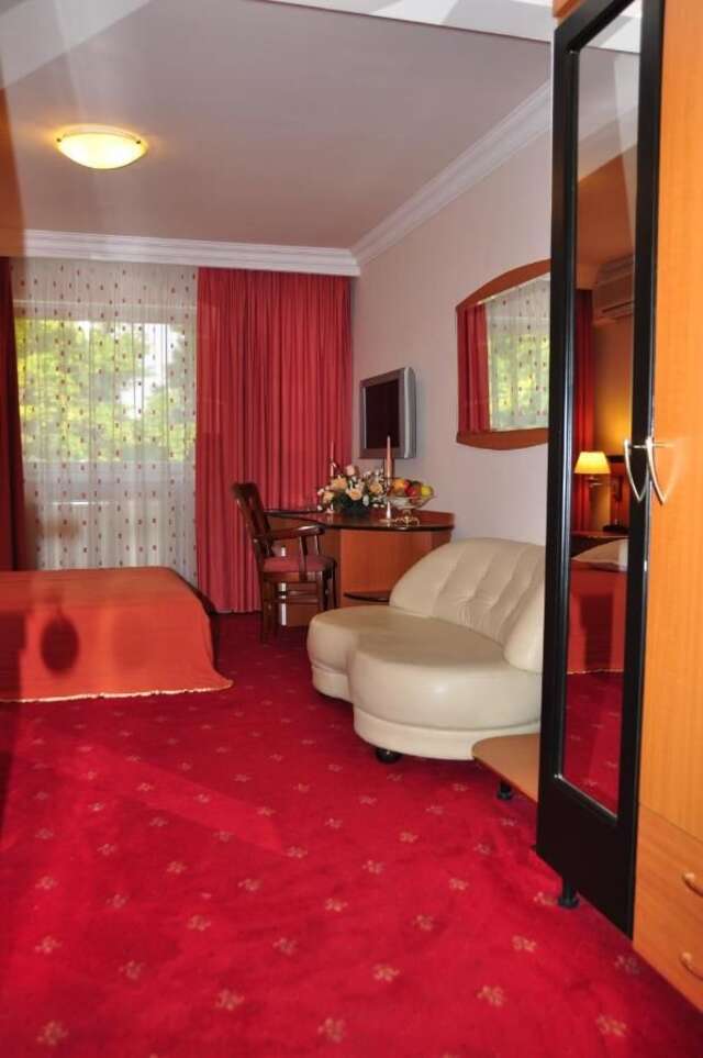 Отель Hotel Royal Plaza Тимишоара-30