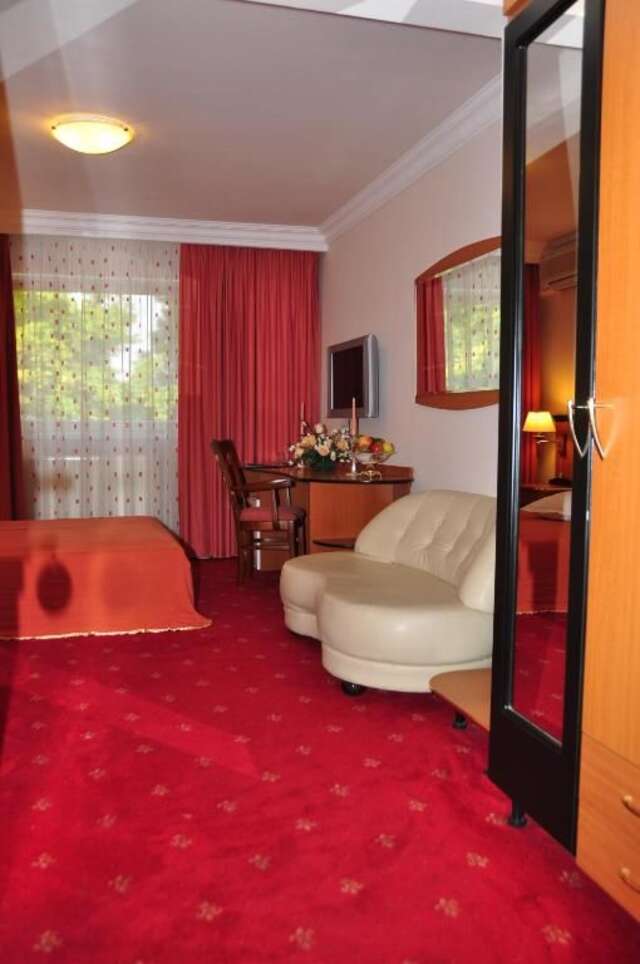 Отель Hotel Royal Plaza Тимишоара-42